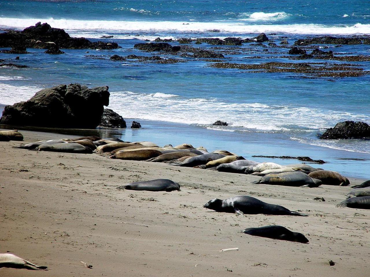 Rockview Inn And Suites Morro Bay Dış mekan fotoğraf